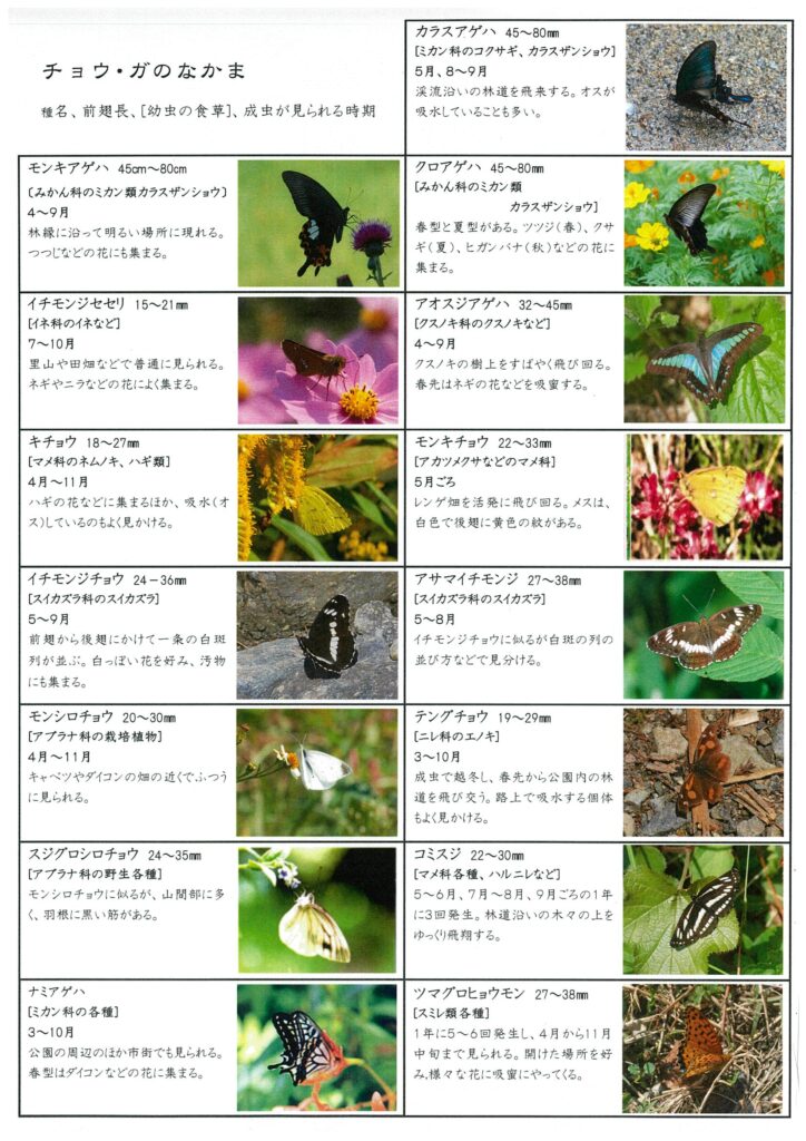 公園内に生息する昆虫図鑑 ここをクリック 国見の森公園ブログ